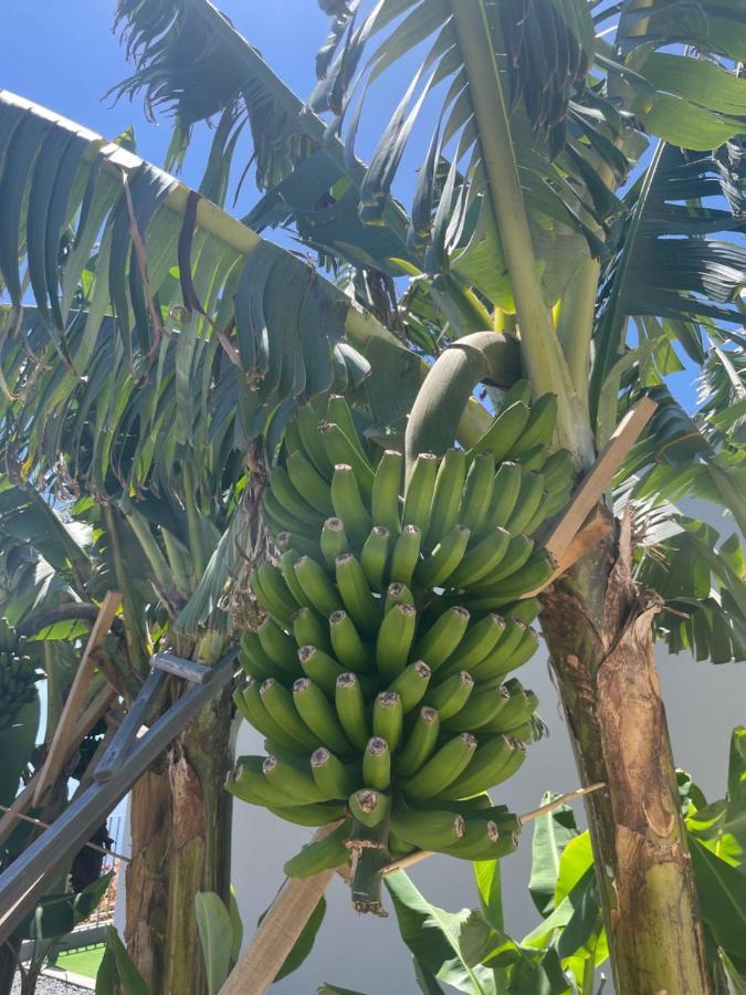 Villa King's Paradise